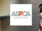 aspca-donation_6cffe439d.jpg