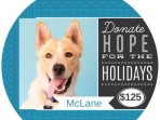 donate-animal-rescue_3d0528e4a.jpg